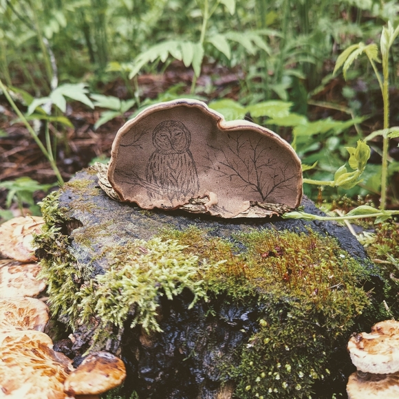 About Inspiration Boreal - Picture 14 of 16